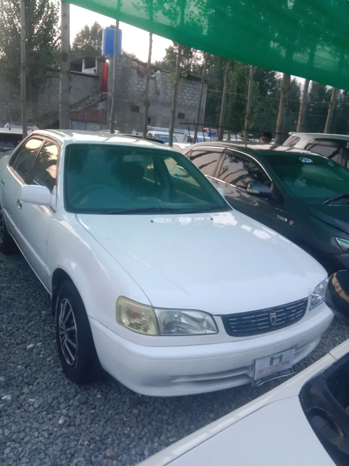 Toyota corolla 98 xe.saloon 1998 – NCP car for sale in Swat, khwaza khela