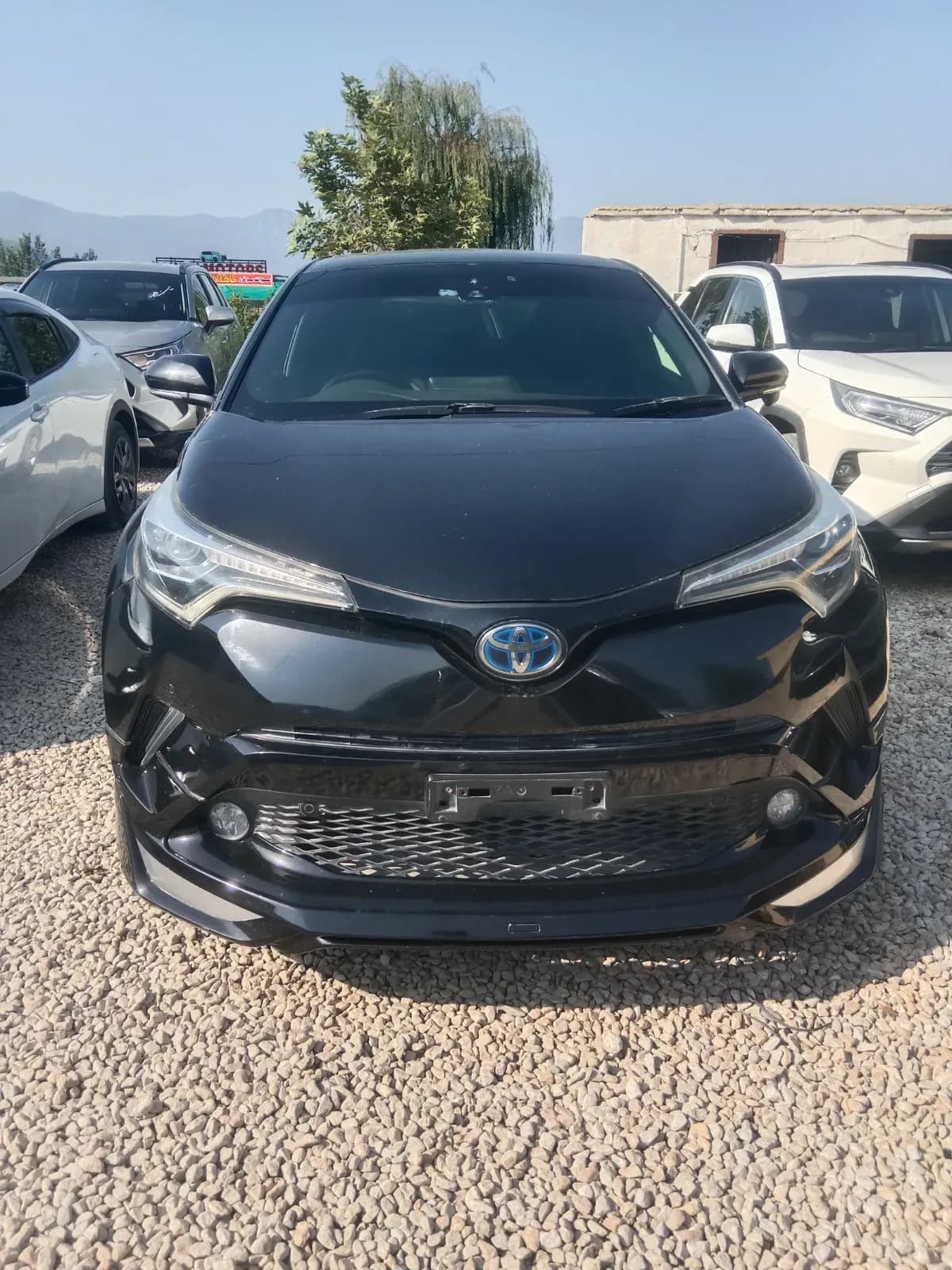 Toyota C-HR 2017 – NCP car for sale in Malakand, Chakdara pul Saokaie