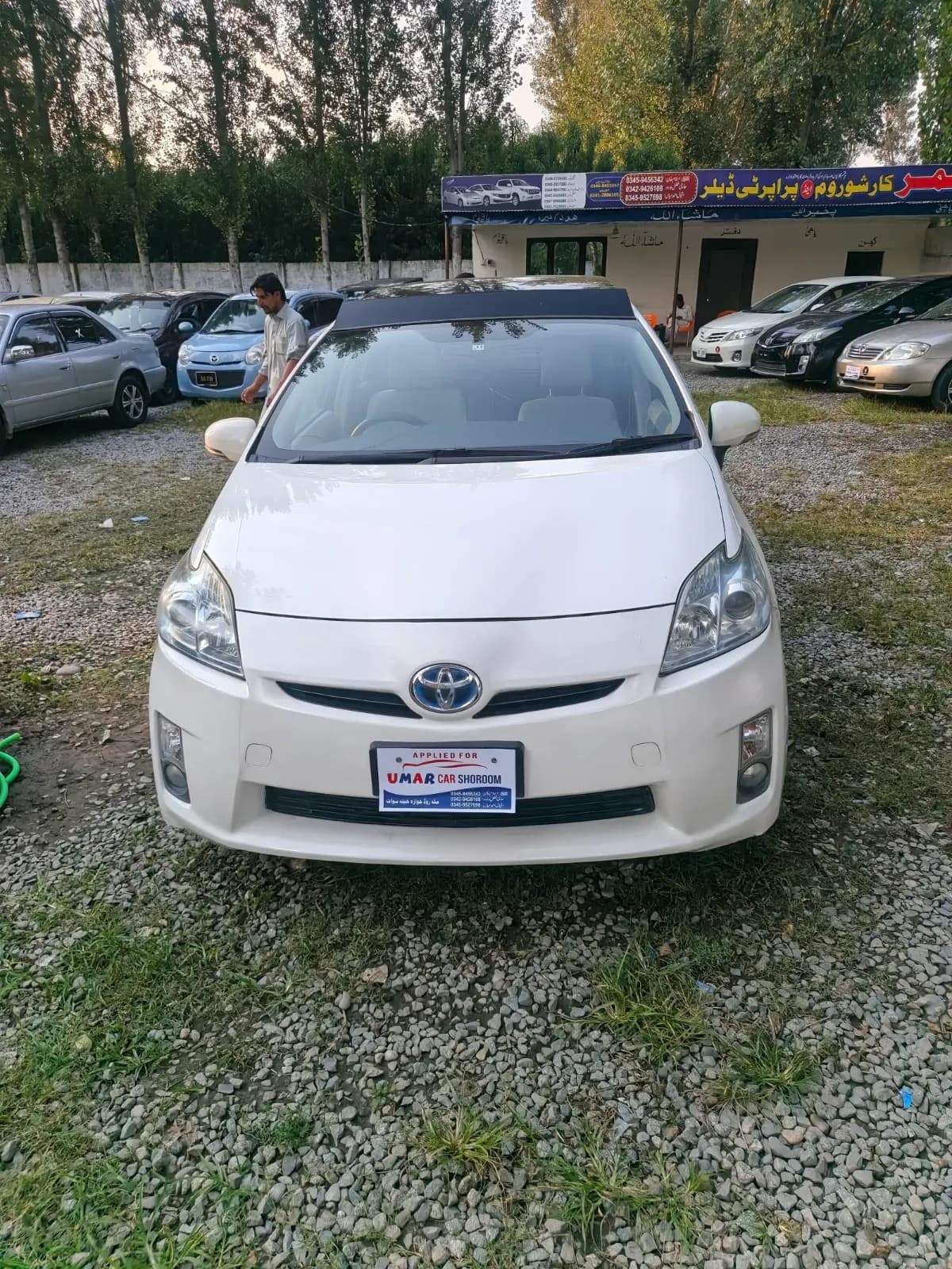 Toyota Prius 2010 — photo 1