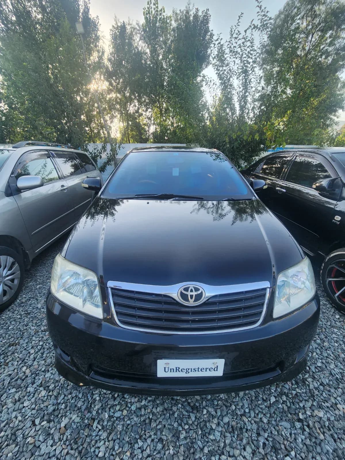 Toyota Corolla luxel 2004 — photo 1