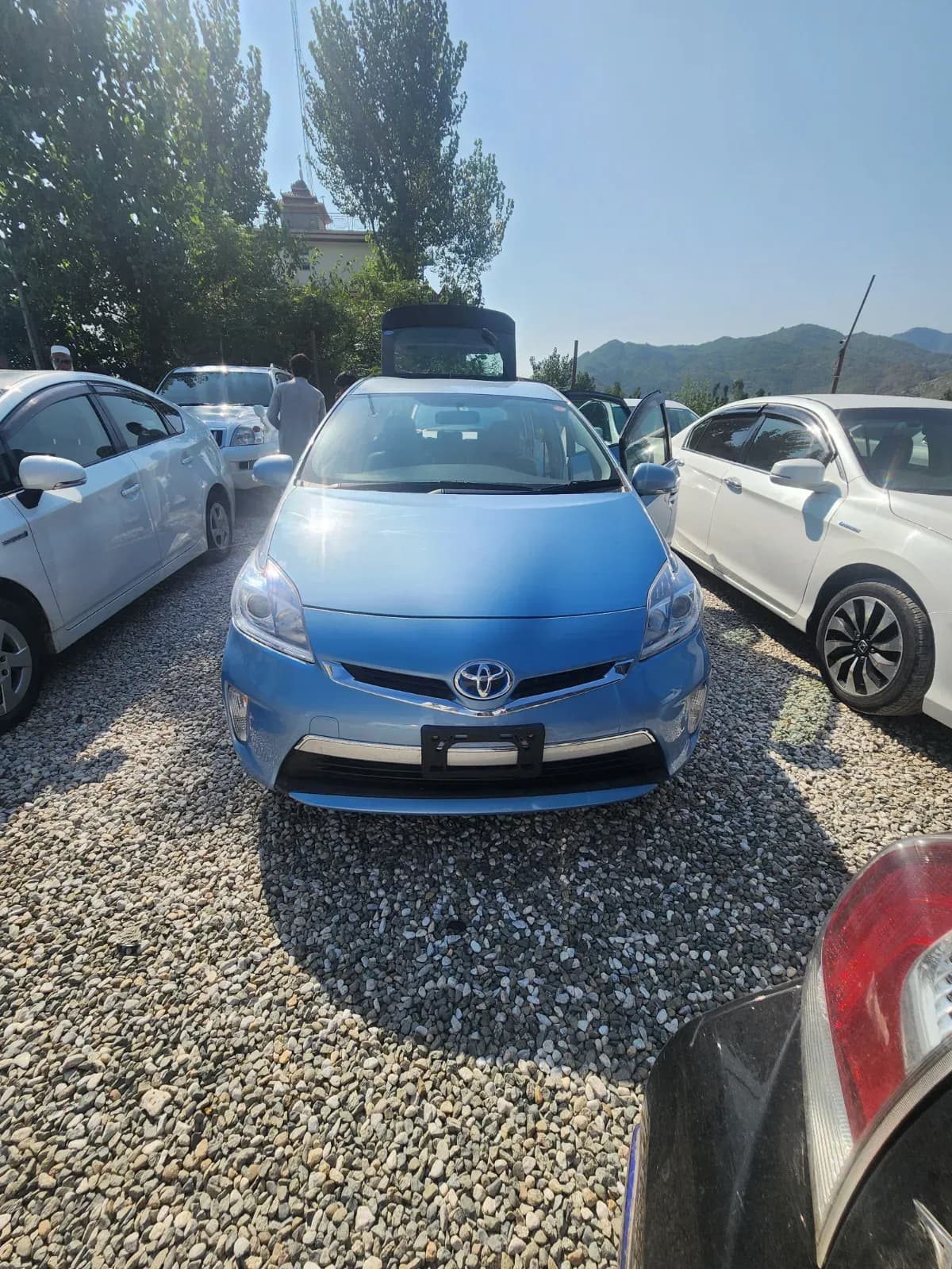 Toyota PHV prius 2024 – NCP car for sale in Malakand, Chakdara pul Saokaie