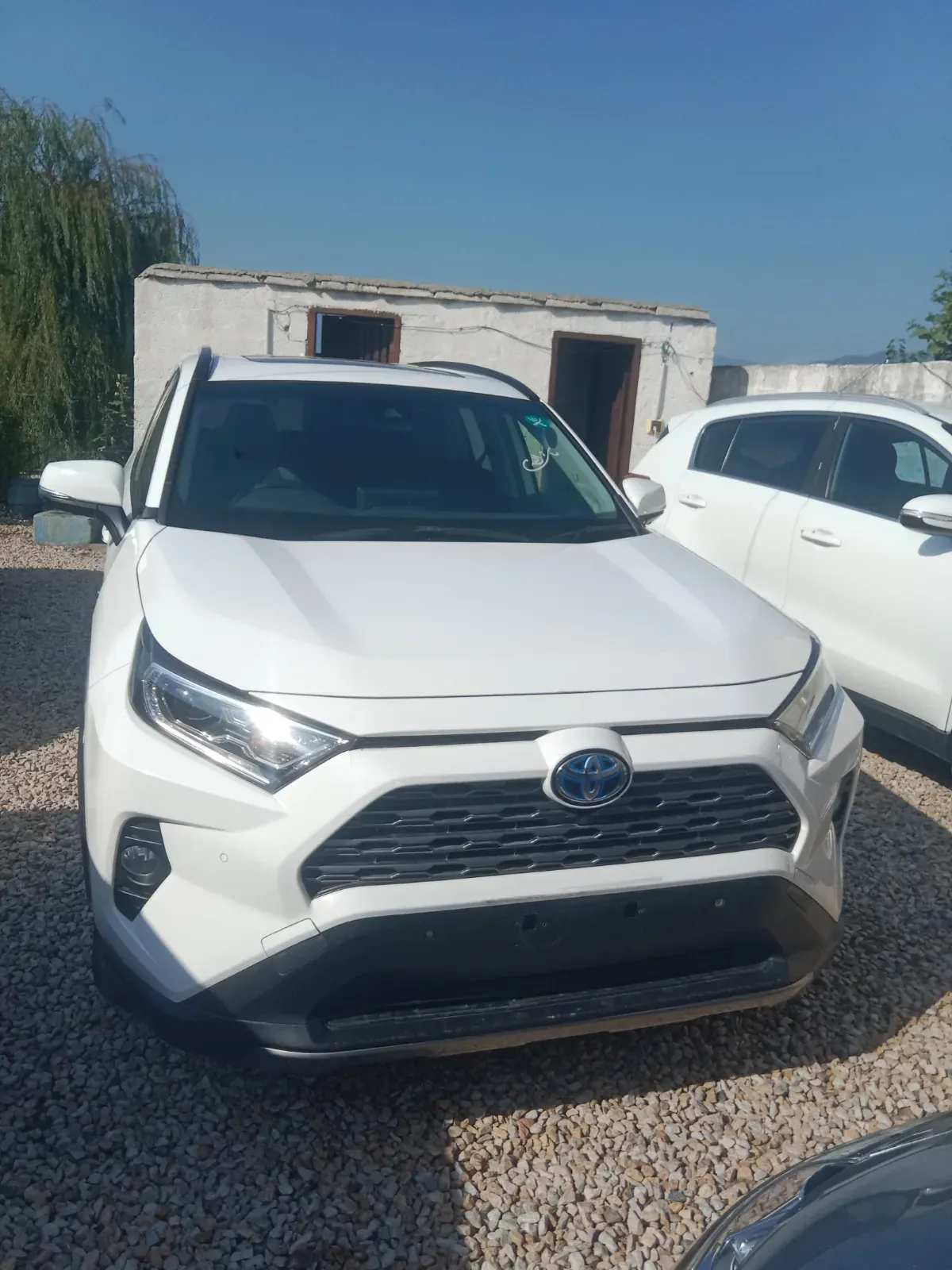 Toyota RAV4 2020 – NCP car for sale in Malakand, Chakdara pul Saokaie