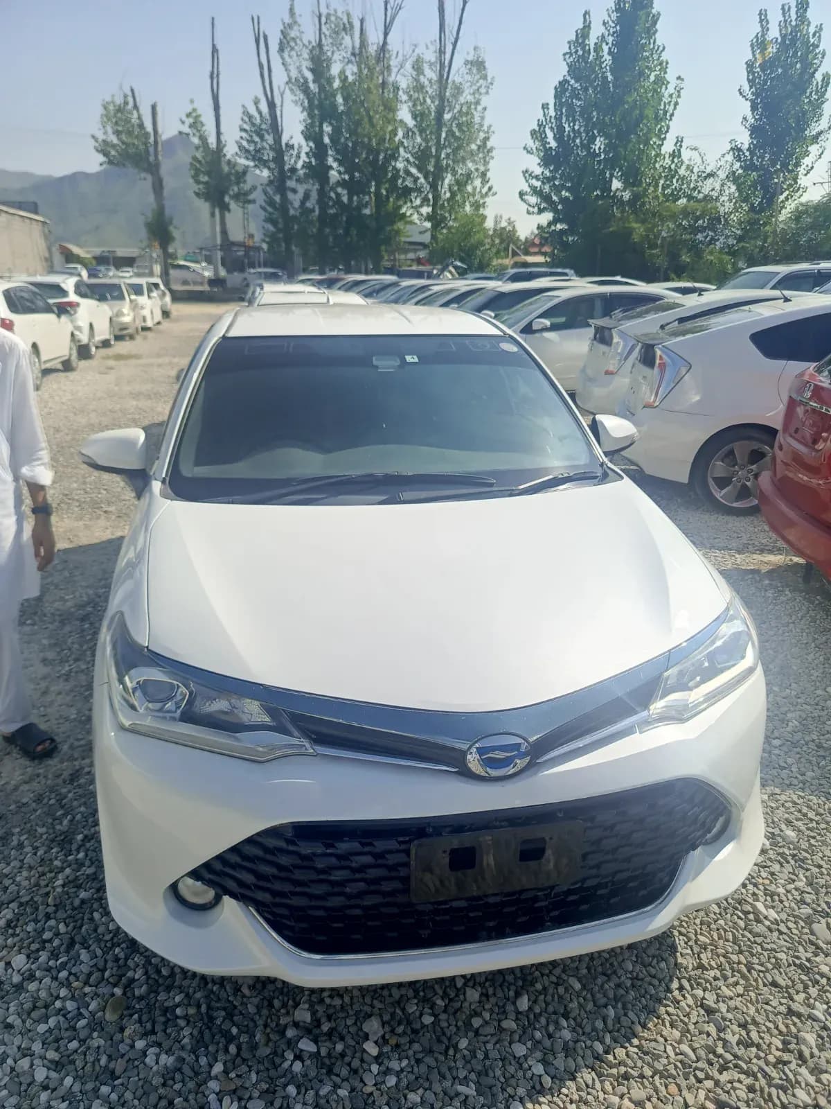 Toyota Corolla WxB 2016 – NCP car for sale in Malakand, Chakdara pul Saokaie