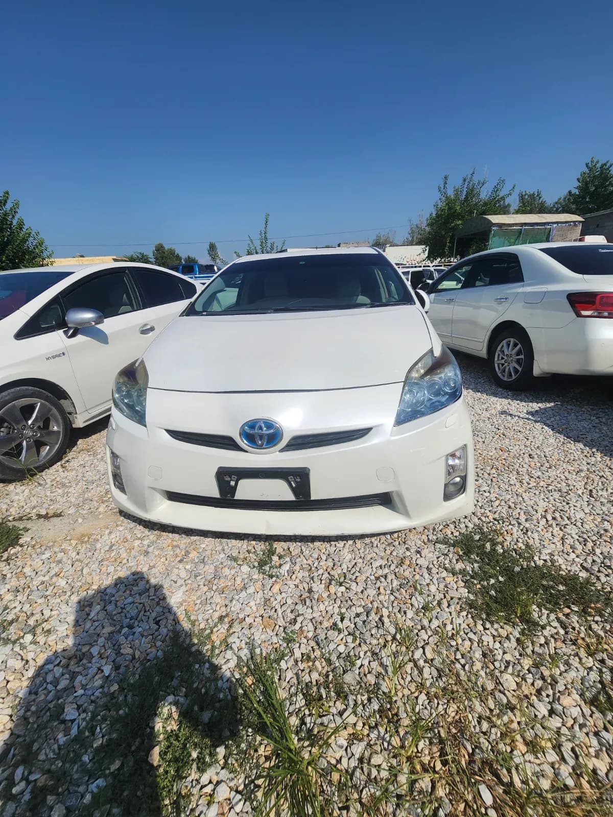 Toyota Prius 2010 – NCP car for sale in Malakand, Chakdara pul Saokaie
